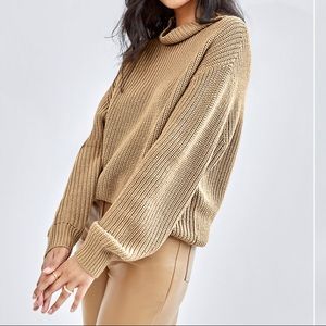 Aritzia Montpellier turtleneck